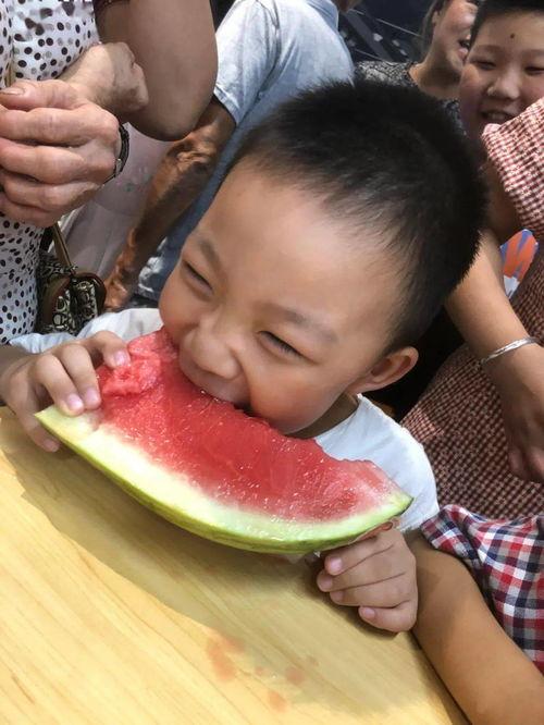 姿态吃瓜视频全集,揭秘娱乐圈幕后风云