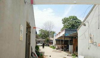 六安红铺网,解锁六安特色商品与文化的宝藏之门