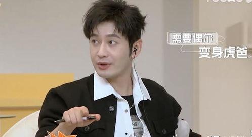 哪些明星太严肃,揭秘严肃面孔背后的真实情感