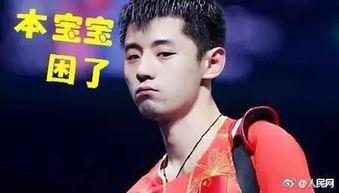 明星摇六的图片,时尚潮流的璀璨瞬间